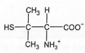 Alternativa C