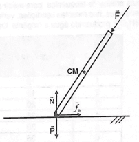 Alternativa C