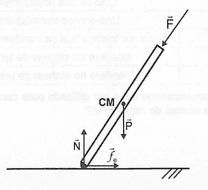 Alternativa E